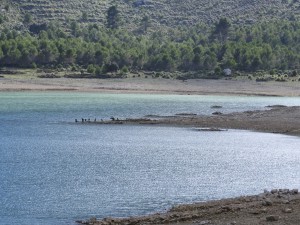 DSCN7918 (Medium)